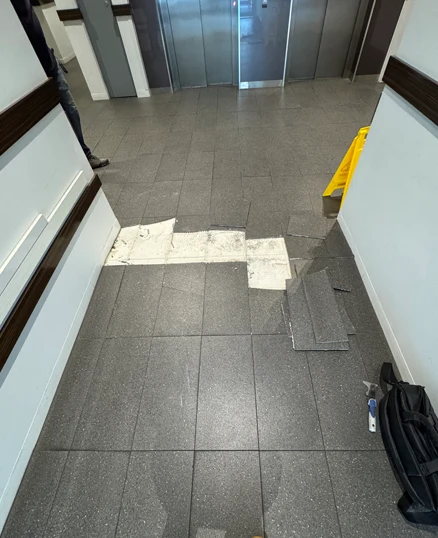 tile repair entry melbourne, regrouting